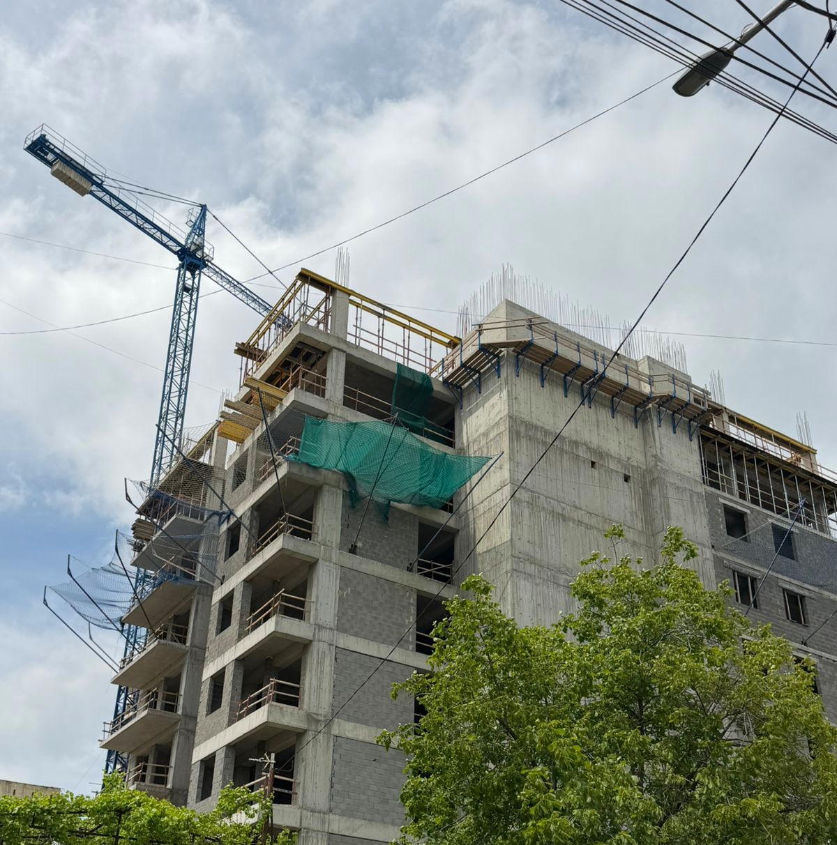 timeline 0